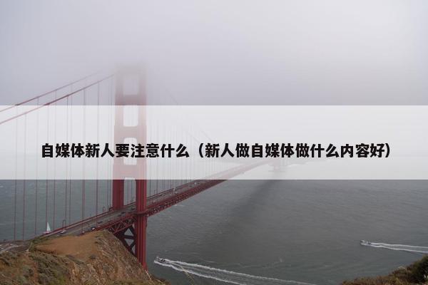 自媒体新人要注意什么（新人做自媒体做什么内容好）