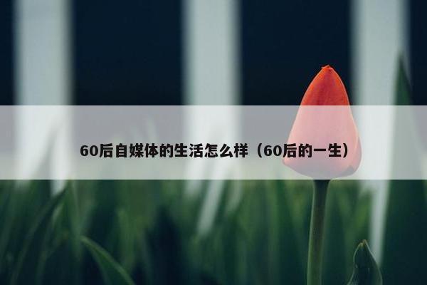 60后自媒体的生活怎么样（60后的一生）