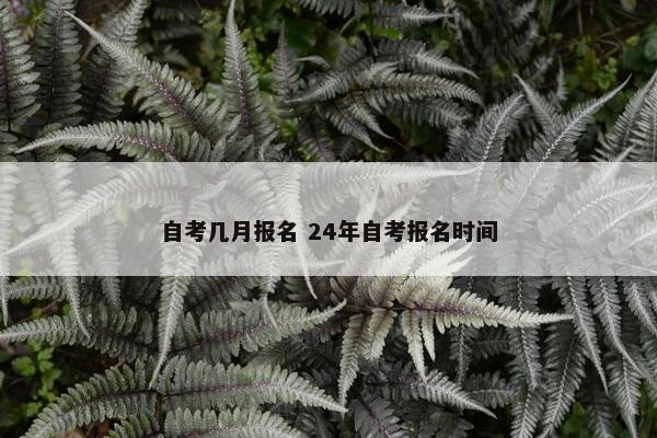 自考几月报名 24年自考报名时间