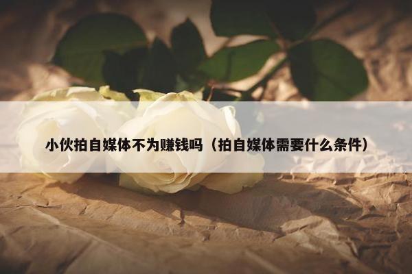 小伙拍自媒体不为赚钱吗（拍自媒体需要什么条件）