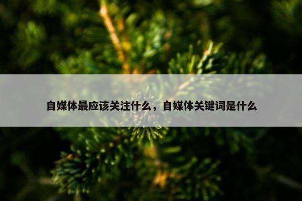 自媒体最应该关注什么，自媒体关键词是什么