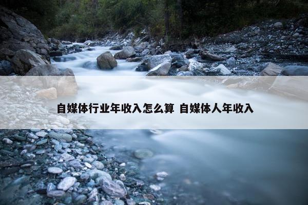 自媒体行业年收入怎么算 自媒体人年收入