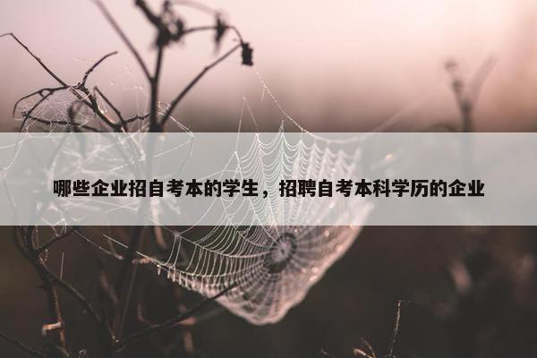 哪些企业招自考本的学生，招聘自考本科学历的企业