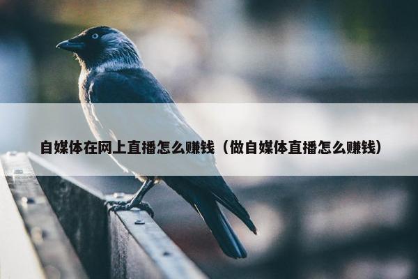 自媒体在网上直播怎么赚钱（做自媒体直播怎么赚钱）