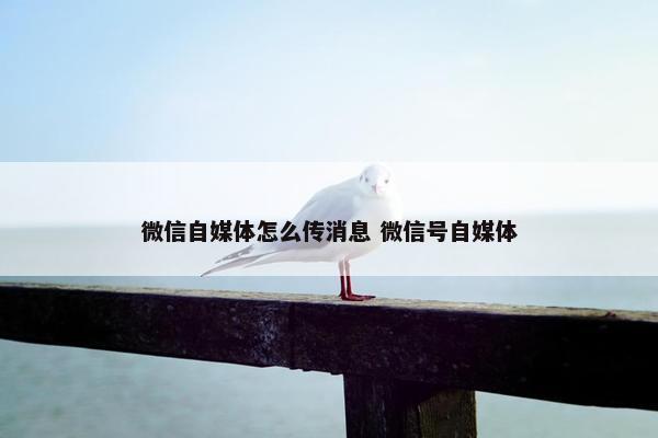 微信自媒体怎么传消息 微信号自媒体