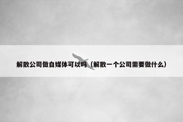 解散公司做自媒体可以吗（解散一个公司需要做什么）