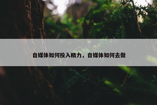 自媒体如何投入精力，自媒体如何去做