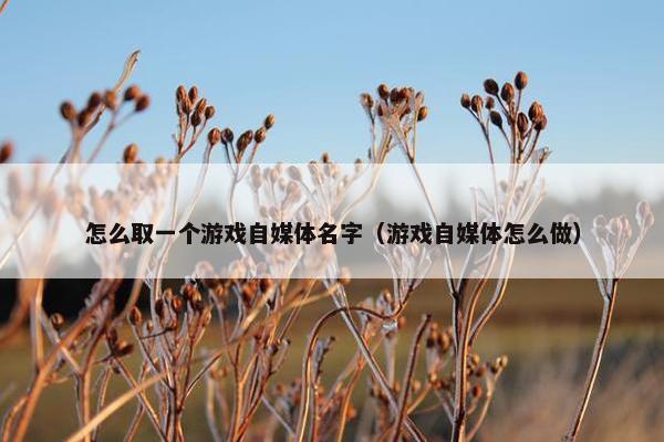 怎么取一个游戏自媒体名字（游戏自媒体怎么做）