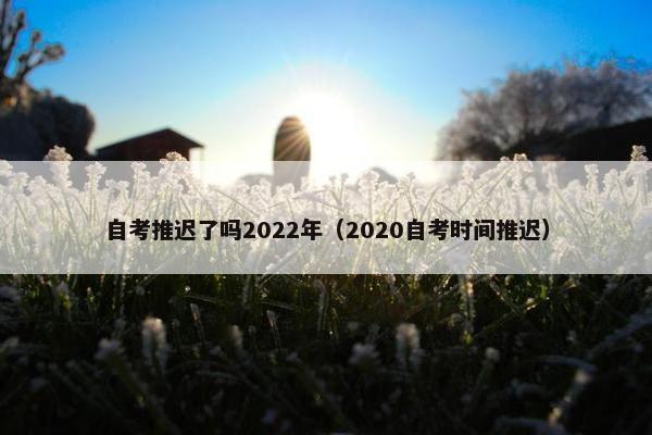 自考推迟了吗2022年（2020自考时间推迟）