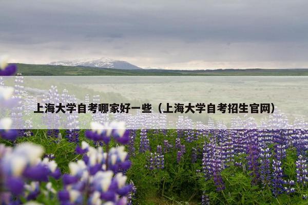 上海大学自考哪家好一些（上海大学自考招生官网）