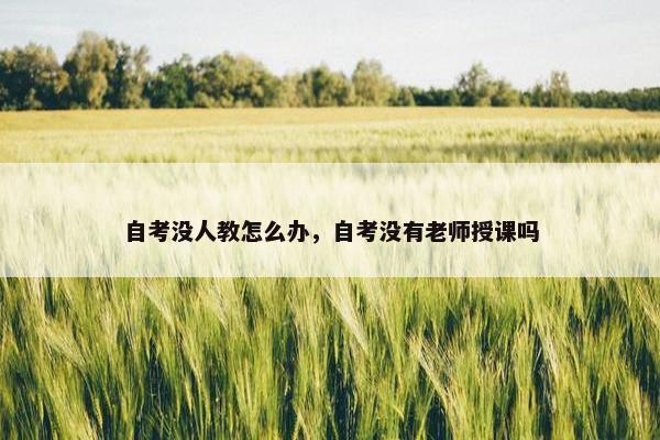 自考没人教怎么办，自考没有老师授课吗