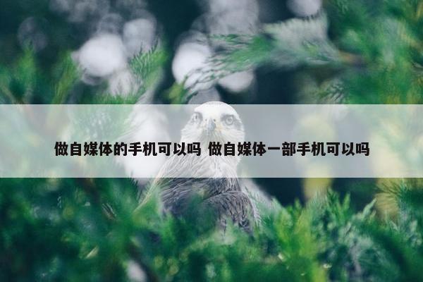 做自媒体的手机可以吗 做自媒体一部手机可以吗