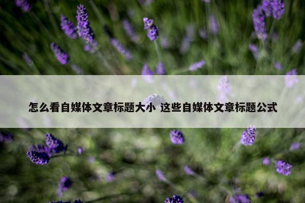 怎么看自媒体文章标题大小 这些自媒体文章标题公式