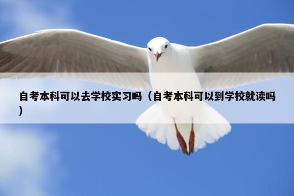 自考本科可以去学校实习吗（自考本科可以到学校就读吗）