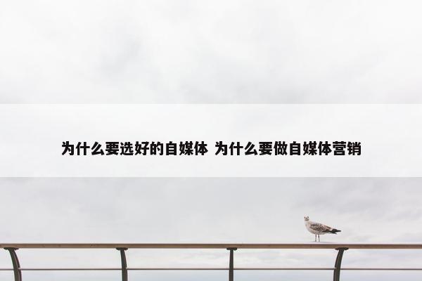 为什么要选好的自媒体 为什么要做自媒体营销