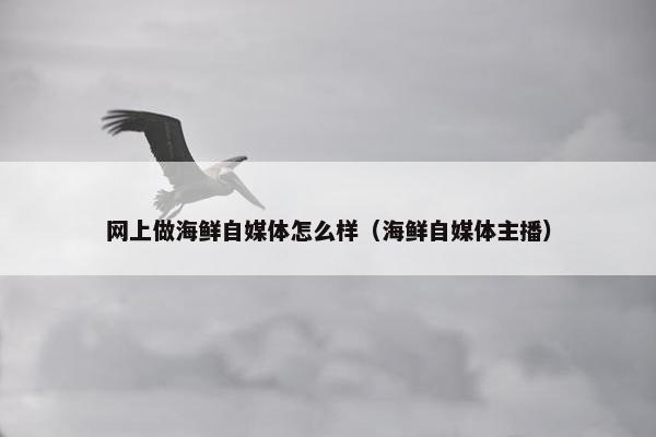 网上做海鲜自媒体怎么样（海鲜自媒体主播）