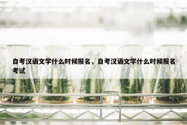 自考汉语文学什么时候报名，自考汉语文学什么时候报名考试