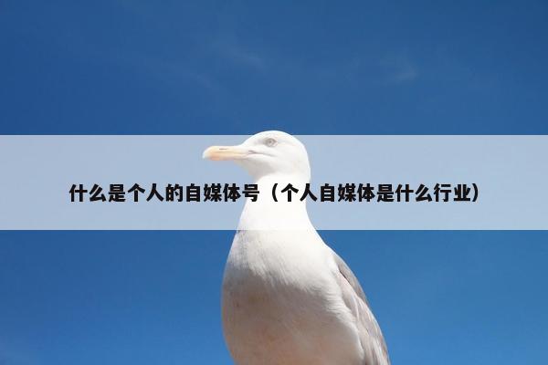 什么是个人的自媒体号（个人自媒体是什么行业）