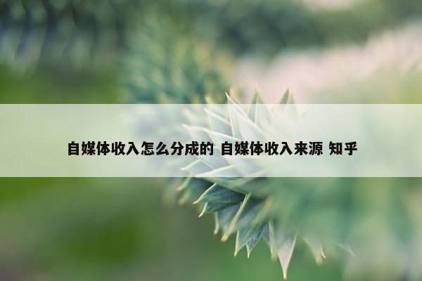 自媒体收入怎么分成的 自媒体收入来源 知乎