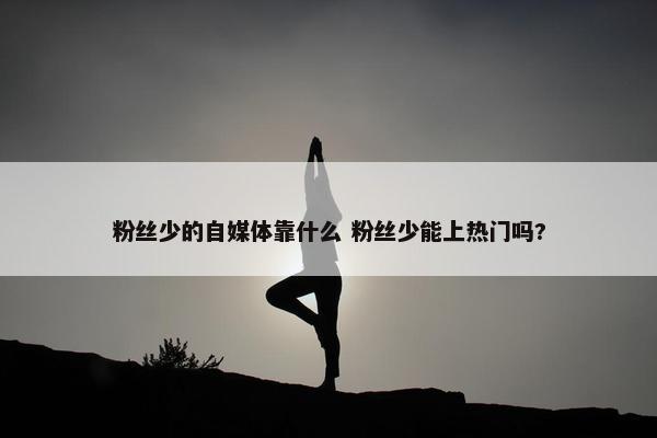 粉丝少的自媒体靠什么 粉丝少能上热门吗?