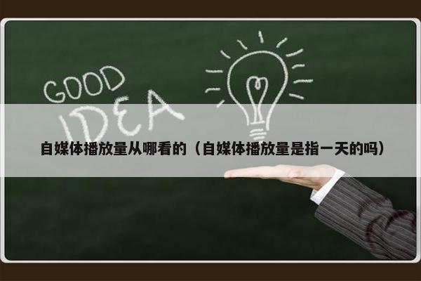 自媒体播放量从哪看的（自媒体播放量是指一天的吗）