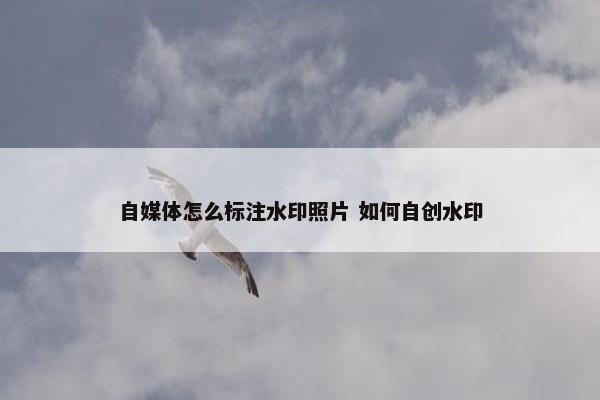 自媒体怎么标注水印照片 如何自创水印