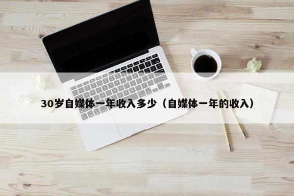 30岁自媒体一年收入多少（自媒体一年的收入）