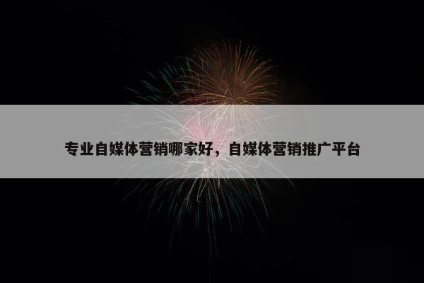 专业自媒体营销哪家好，自媒体营销推广平台