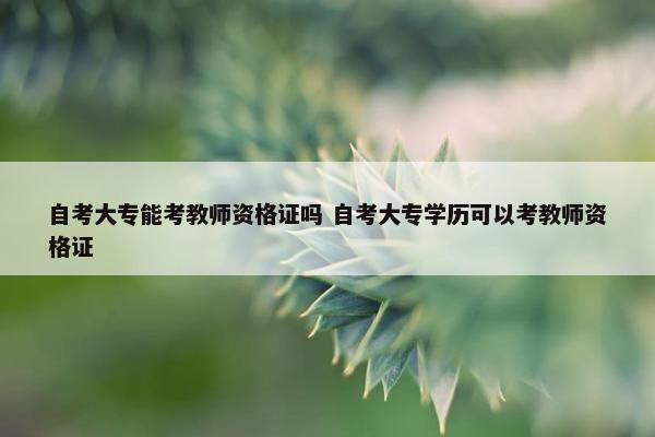 自考大专能考教师资格证吗 自考大专学历可以考教师资格证