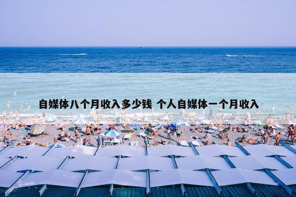 自媒体八个月收入多少钱 个人自媒体一个月收入