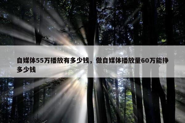 自媒体55万播放有多少钱，做自媒体播放量60万能挣多少钱