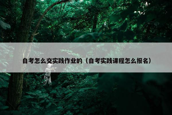 自考怎么交实践作业的（自考实践课程怎么报名）