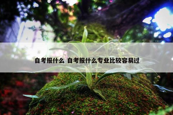 自考报什么 自考报什么专业比较容易过