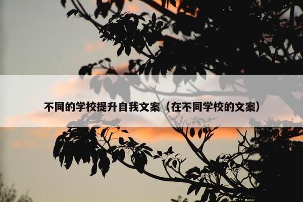 不同的学校提升自我文案（在不同学校的文案）