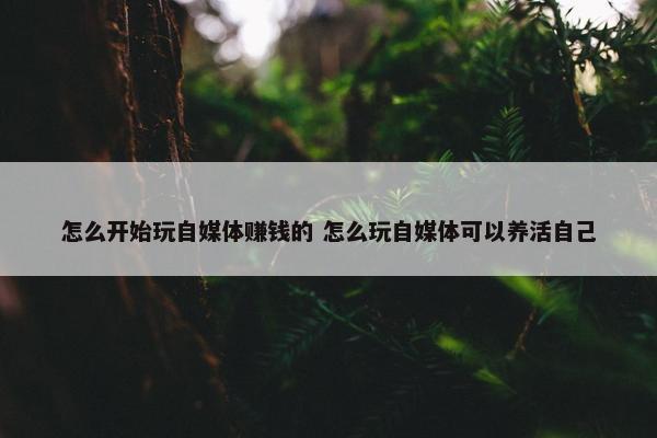 怎么开始玩自媒体赚钱的 怎么玩自媒体可以养活自己