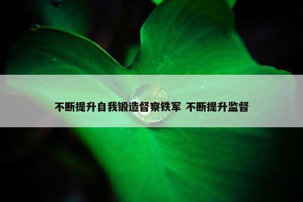 不断提升自我锻造督察铁军 不断提升监督