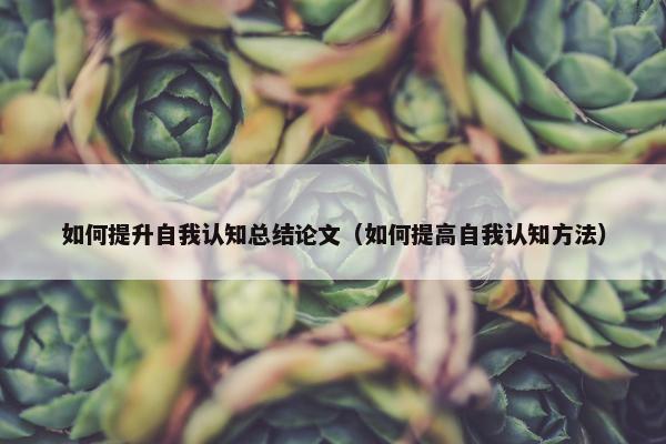 如何提升自我认知总结论文（如何提高自我认知方法）