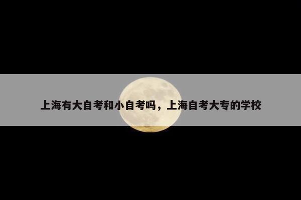 上海有大自考和小自考吗，上海自考大专的学校