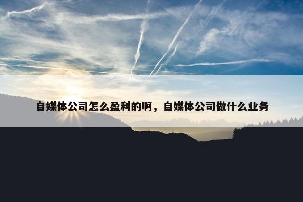 自媒体公司怎么盈利的啊，自媒体公司做什么业务