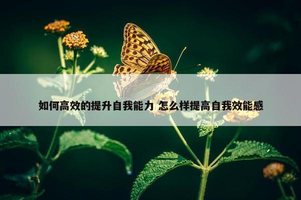 如何高效的提升自我能力 怎么样提高自我效能感