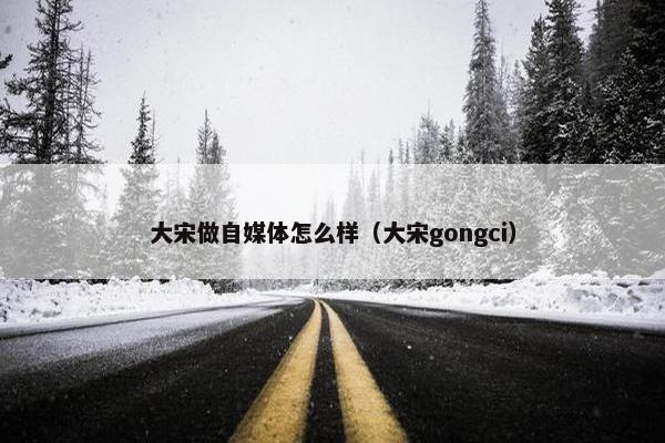 大宋做自媒体怎么样（大宋gongci）