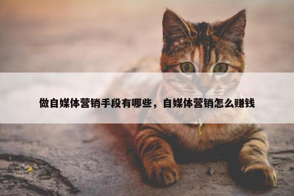 做自媒体营销手段有哪些，自媒体营销怎么赚钱