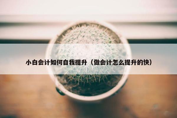 小白会计如何自我提升（做会计怎么提升的快）