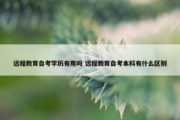 远程教育自考学历有用吗 远程教育自考本科有什么区别