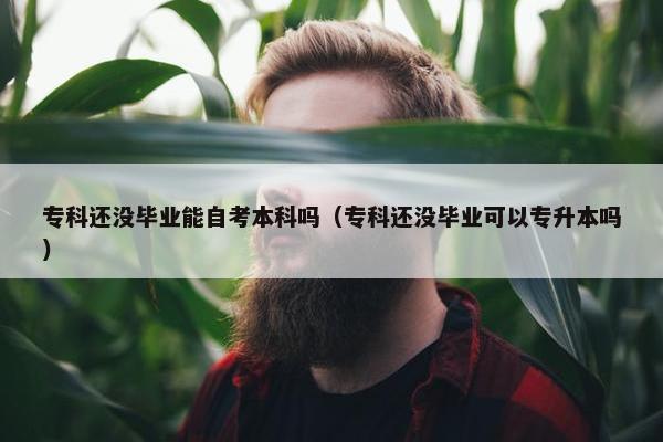 专科还没毕业能自考本科吗（专科还没毕业可以专升本吗）