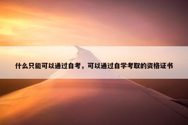 什么只能可以通过自考，可以通过自学考取的资格证书