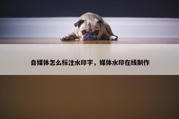 自媒体怎么标注水印字，媒体水印在线制作