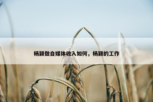 杨颖做自媒体收入如何，杨颖的工作