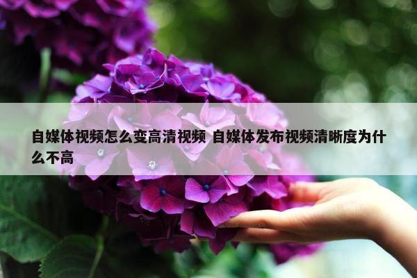 自媒体视频怎么变高清视频 自媒体发布视频清晰度为什么不高