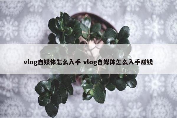 vlog自媒体怎么入手 vlog自媒体怎么入手赚钱